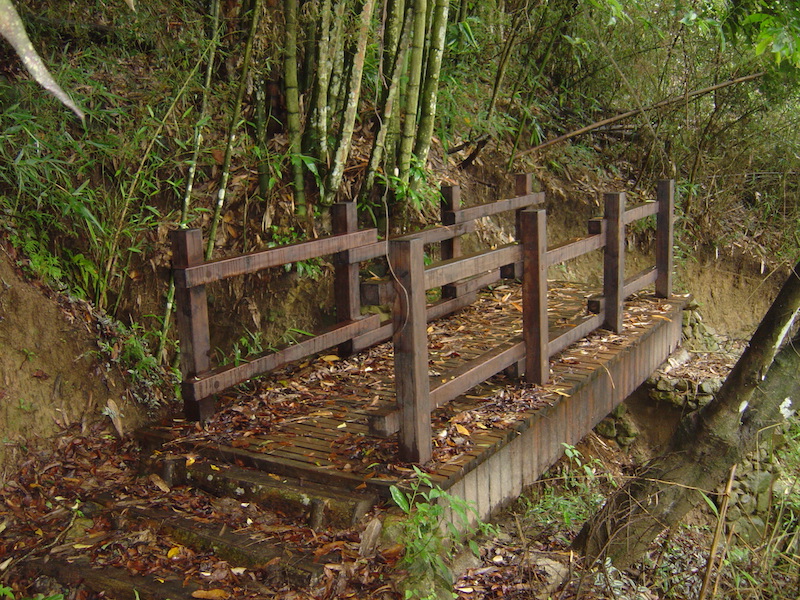 精選8條嘉義登山步道秘境｜踏遍古道享受森林清新空氣與鳥鳴