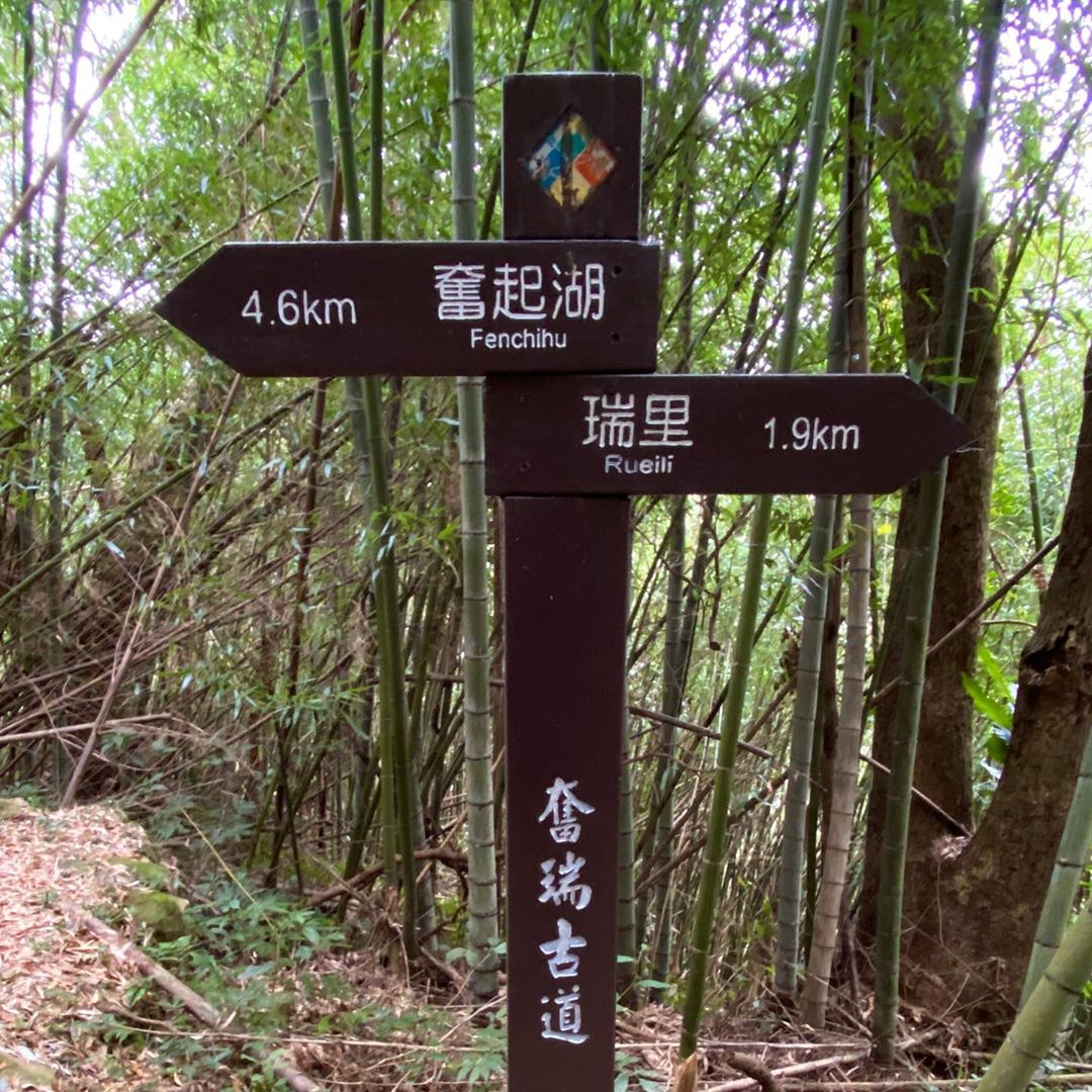 精選８條嘉義登山步道秘境｜踏遍嘉義登山步道享受鳥鳴芬多精