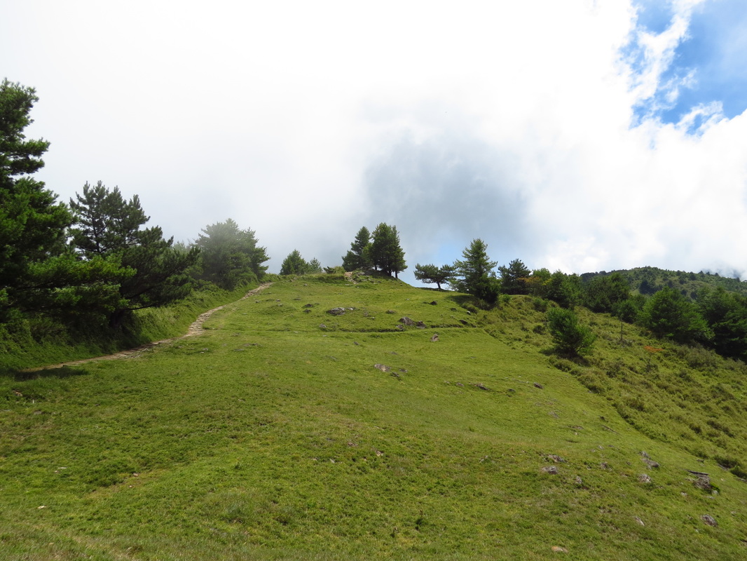 嘉義８條必走森林登山步道秘境｜踏遍嘉義登山步道享受森林浴