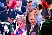 A split of photos of Prince Harry, Princess Anne and friends and family of the royals at King Charles III's coronation.