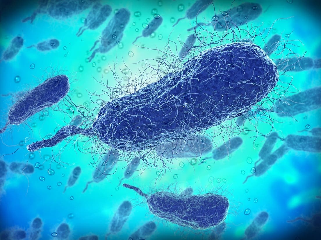 ‘Flesh-Eating’ Bacteria Kills 15: Weird News & Oddities