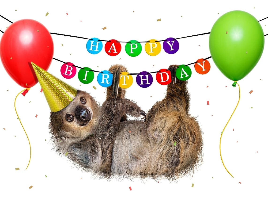 Fernando The Sloth's 6th Birthday Party — We Dare You Not To Smile! 