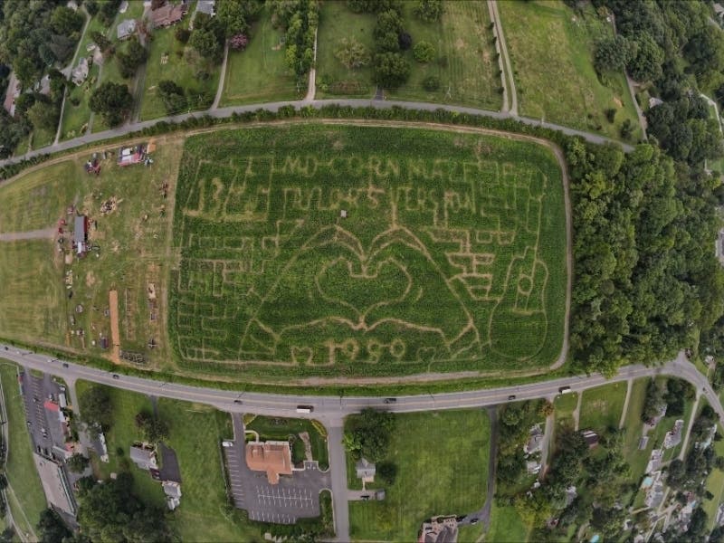 Taylor Swift Corn Maze Open In Gambrills