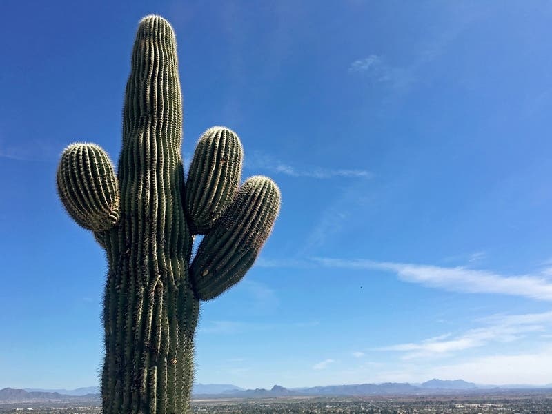 Fall In Phoenix Came In Hot And It Could Stay That Way