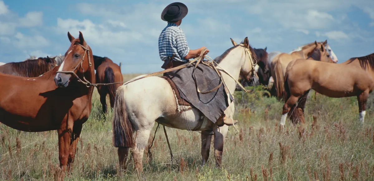 gaucho a caballo