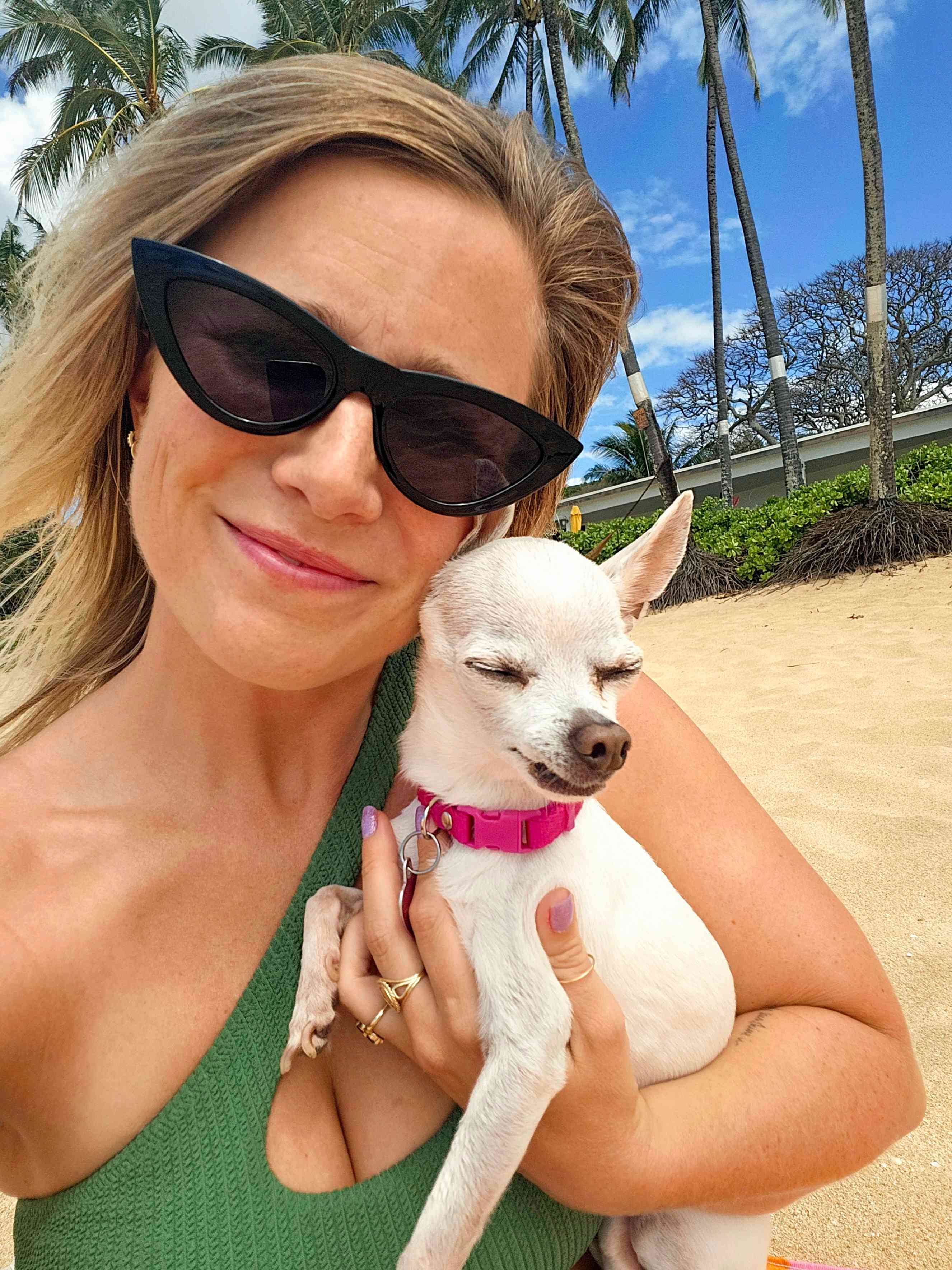 Person with sunglasses holding white dog on beach 