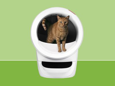 Collage of a cat coming out of the Whisker Litter-Robot 4 on a green background