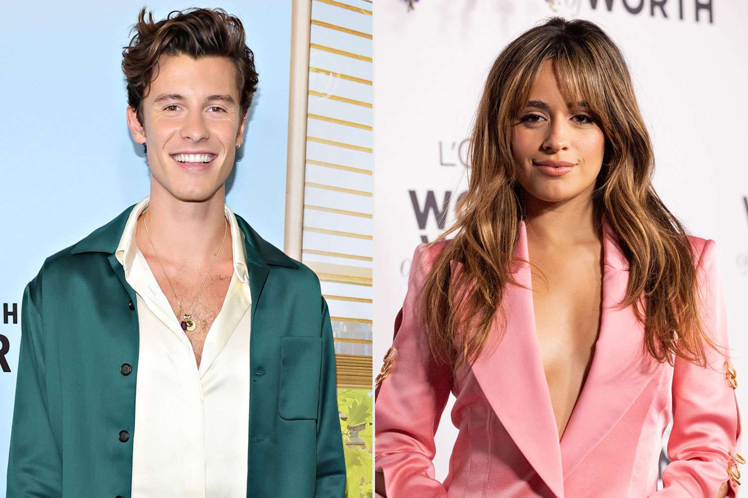 Shawn Mendes and Camila Cabello split