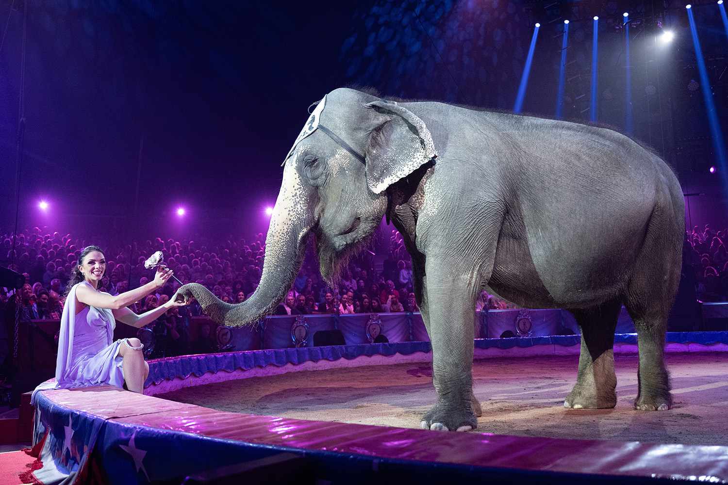 Artist performs during the 46th International Circus Festival