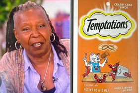 Whoopi Goldberg Ate Cat Treats at 2 A.M. Thinking They Were Pretzels: âI Was Not Highâ