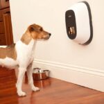 interactive dog camera