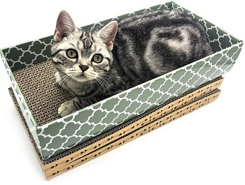 Mecool Scratcher Cardboard review