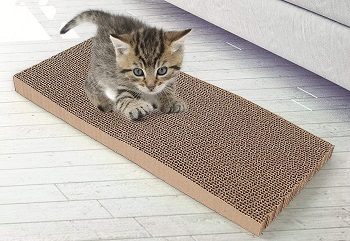 Scratch Lounge Cardboard