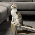 cat ramp scratcher