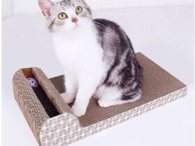 cardboard-cat-scratcher