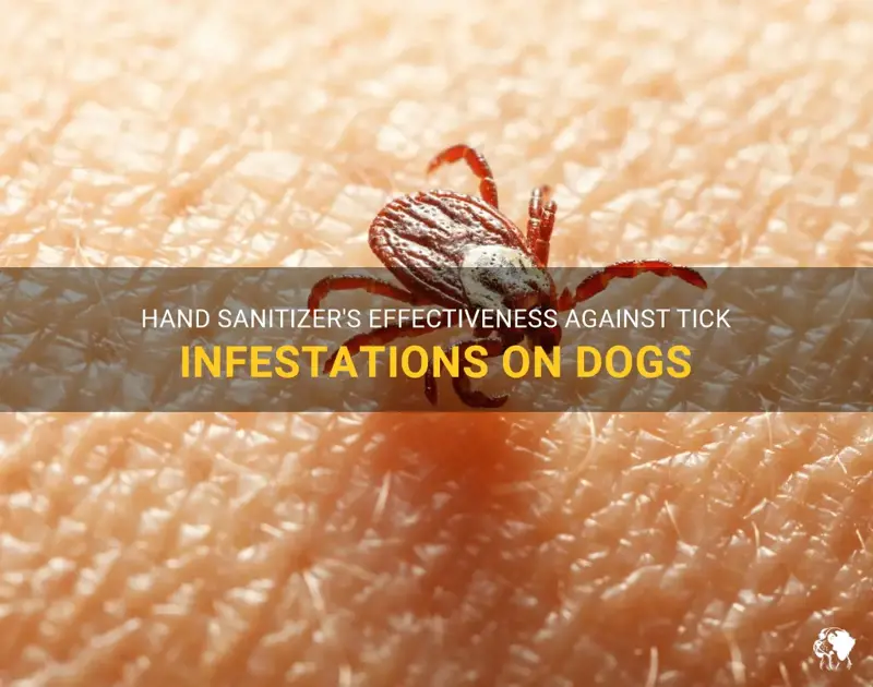 can hand sanitizer kill ticks on dogs