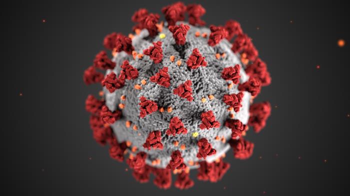 Typical ultrastructural morphology exhibited by coronaviruses