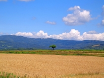 A field in Takikawa Hokkaido Japan 