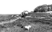 Cley next the Sea photo