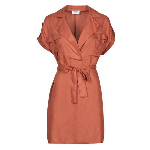 Textiel Dames Korte jurken Betty London JOANA Terracotta