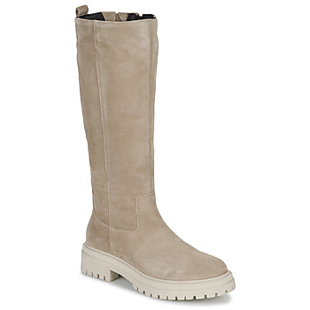 Schoenen Dames Hoge laarzen Geox D IRIDEA C Beige