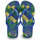 Schoenen Slippers Havaianas BRASIL FRESH Marine / Blauw