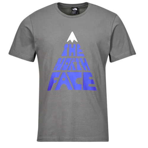 Textiel Heren T-shirts korte mouwen The North Face MOUNTAIN Grijs