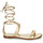 Schoenen Dames Sandalen / Open schoenen MICHAEL Michael Kors AMARA FLAT SANDAL Goud