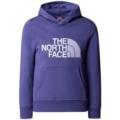 Textiel Jongens Trainingspakken The North Face BOY'S DREW PEAK P/O HOODI Blauw