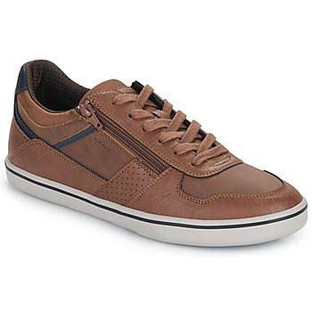 Schoenen Heren Lage sneakers Geox U ELVER Brown