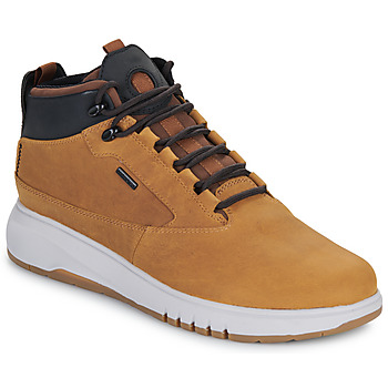 Schoenen Heren Laarzen Geox U AERANTIS 4X4 B ABX Brown