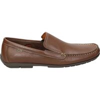 Schoenen Heren Derby & Klassiek Nuper 7901 Brown