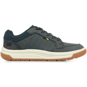 Schoenen Heren Sneakers Caterpillar Apa Cush Blauw