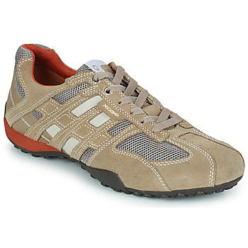 Schoenen Heren Lage sneakers Geox SNAKE Beige