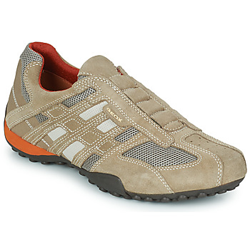 Schoenen Heren Lage sneakers Geox SNAKE Beige