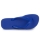 Schoenen Slippers Havaianas TOP Marine / Blauw