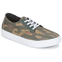 Schoenen Heren Skateschoenen Globe Motley LYT Groen