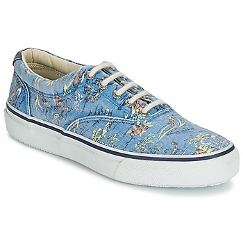 Schoenen Heren Lage sneakers Sperry Top-Sider STRIPER HAWAIIAN Blauw