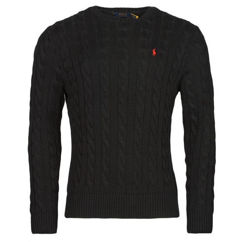 Kleidung Herren Pullover Polo Ralph Lauren SERINA    