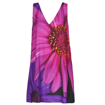 Abbigliamento Donna Abiti corti Desigual VEST_LOLO 