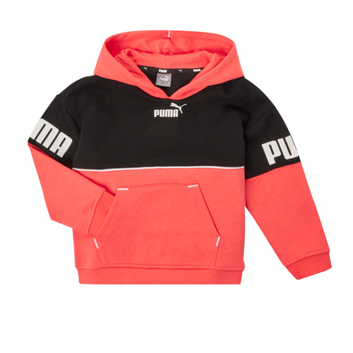 Vêtements Fille Sweats Puma PUMA POWER COLORBLOCK HOODIE 