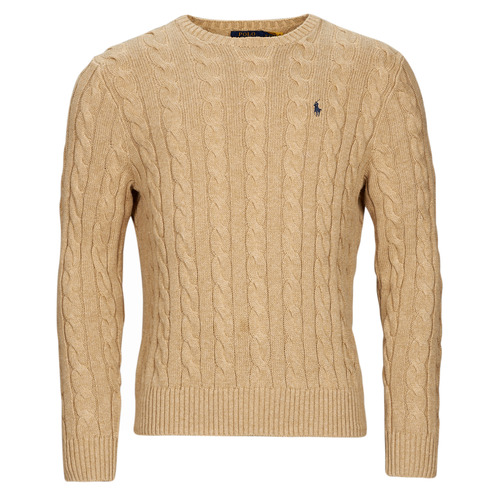 Vêtements Homme Pulls Polo Ralph Lauren SC23-LS DRIVER CN-LONG SLEEVE-SWEATER 