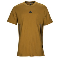 Vêtements Homme T-shirts manches courtes Adidas Sportswear FI 3S T 