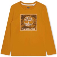 Kleidung Jungen T-Shirts Timberland T25U36-575-J Gelb