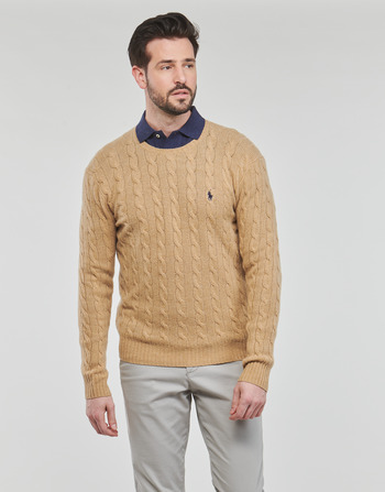 Vêtements Homme Pulls Polo Ralph Lauren PULL COL ROND EN MAILLE TORSADEE 