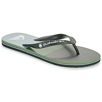 Schuhe Herren Zehensandalen Quiksilver MOLOKAI STRIPE Grau