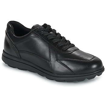 Chaussures Homme Derbies Geox U SPHERICA EC12 