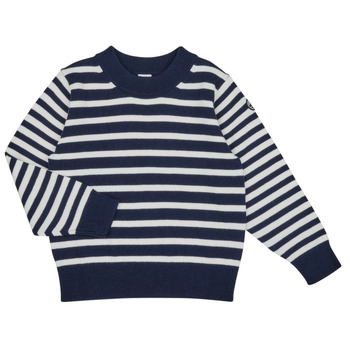 Abbigliamento Bambino Maglioni Petit Bateau TARCO 