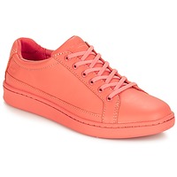 Schuhe Damen Sneaker Low Timberland San Francisco Flavor Oxford Crabapple