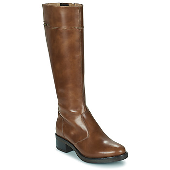 Shoes Women High boots NeroGiardini PIETRA Cognac